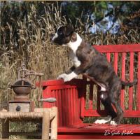 Taylor 87 jours 17 07 22 0538