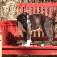 Taylor 87 jours 17 07 22 0541