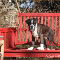 Taylor 87 jours 17 07 22 0558