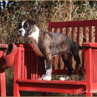 Taylor 87 jours 17 07 22 0562