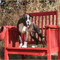 Taylor 87 jours 17 07 22 0588