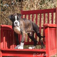 Taylor 87 jours 17 07 22 0591