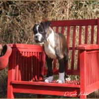 Taylor 87 jours 17 07 22 0612