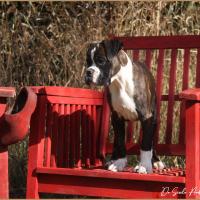 Taylor 87 jours 17 07 22 0623