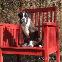 Taylor 87 jours 17 07 22 0672