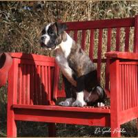 Taylor 87 jours 17 07 22 0707