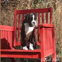 Taylor 87 jours 17 07 22 0748