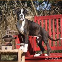 Taylor 87 jours 17 07 22 506