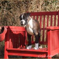 Taylor 87 jours 17 07 22 613