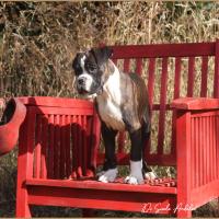 Taylor 87 jours 17 07 22 615