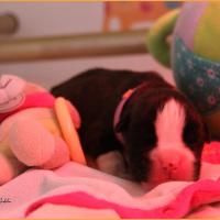 Tessi 3 jours 
