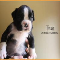 Tessy 1 mois