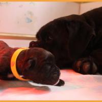 Théo et maman 1 jour 