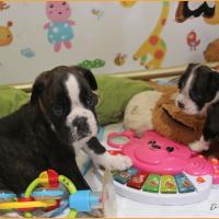 Tino et Taylor 34 jours 