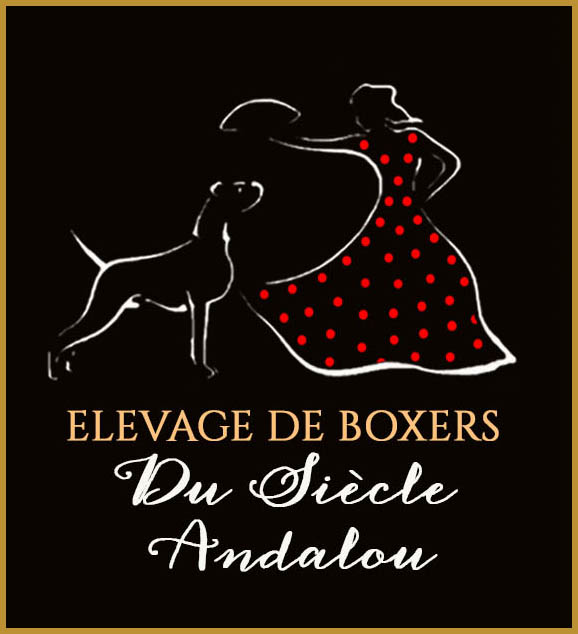 Elevage Du Siècle Andalou